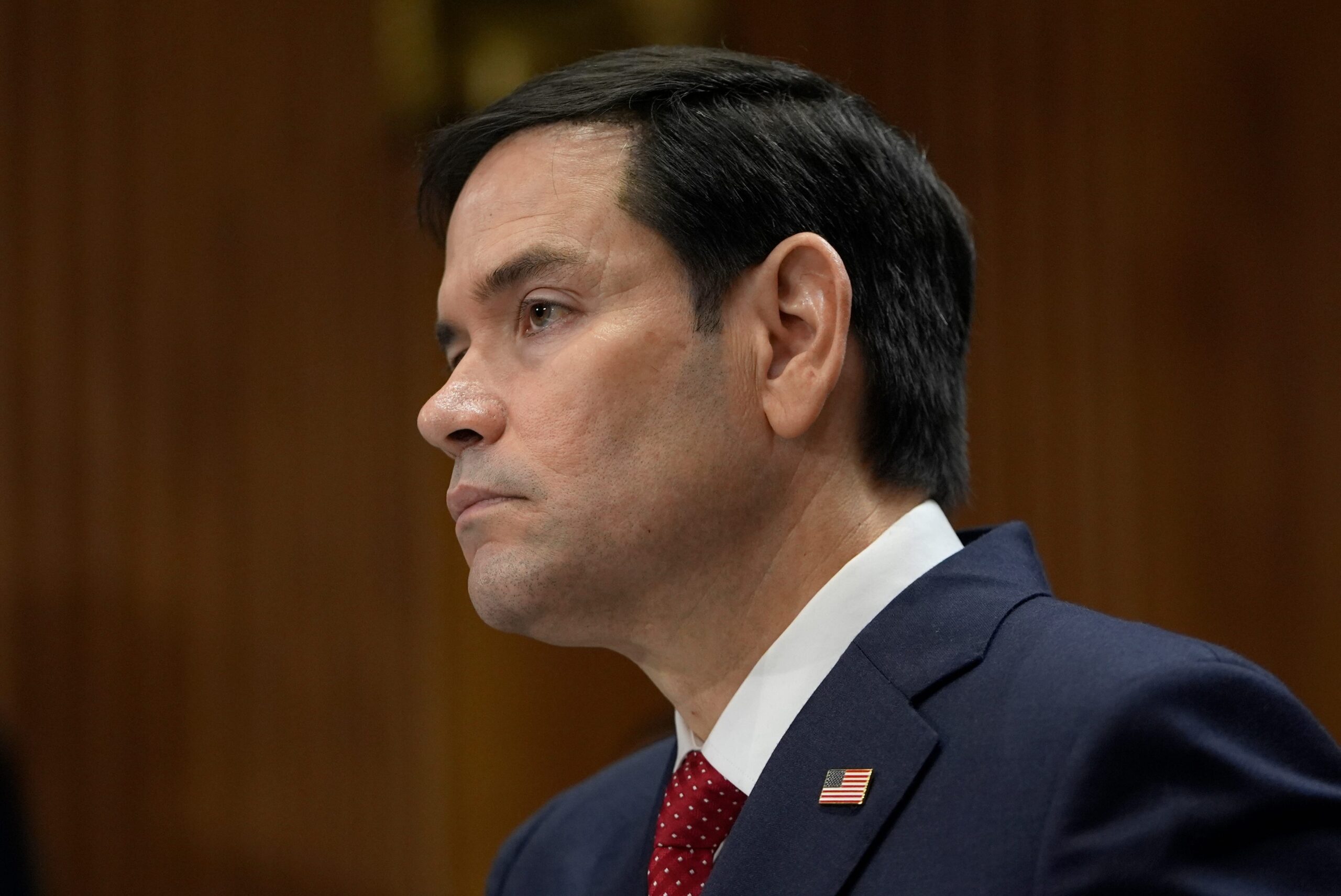 Trump administration, immigration policy, catch and revoke, visa revocation, Marco Rubio, foreign nationals, student visas, protests, Israel, Gaza, immigration law, David Bier, Cato Institute, criminal activity, domestic violence, assault
