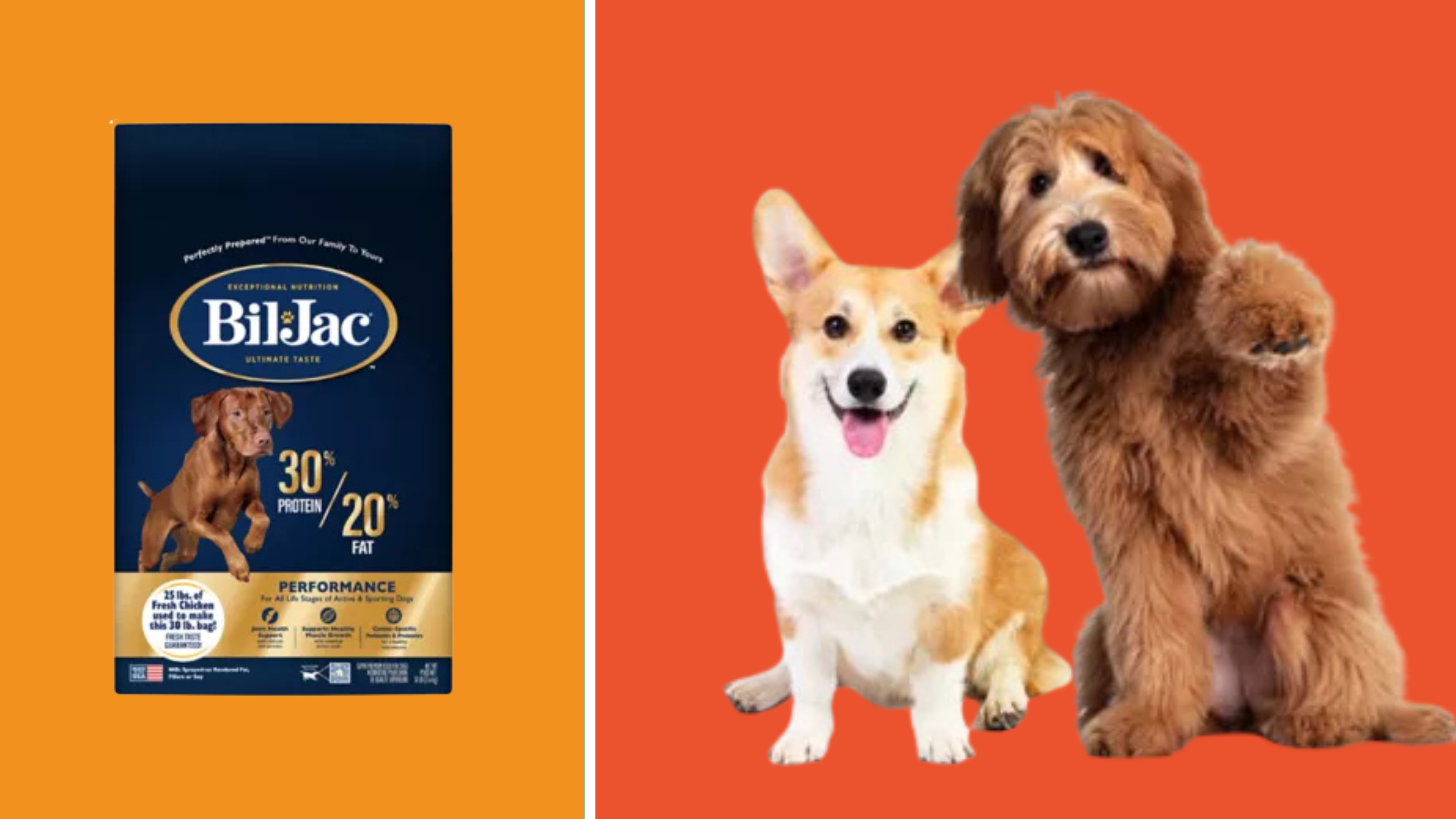 National Pet Month, PetSmart, Bil-Jac 30/20 Performance Dog Food, dog food, dog merchandise, dog services, Treats Rewards program, pet adoption, foster, furry friend, Serta dog bed, Wayfair Way Day, Amazon Pet Day, dog life jackets, cat backpacks, bird feeders, transitioning dog food, active dogs, working dogs, sporting dogs, pet ownership, responsible pet care, pet deals
