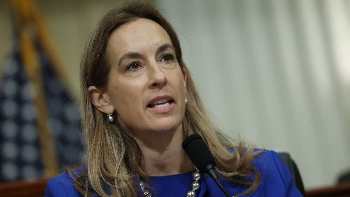 Mikie Sherrill, Donald Trump, impeachment, New Jersey, governor, 2026 midterms, Democrat, GOP, Shri Thanedar, articles of impeachment, Kilmar Abrego Garcia, MS-13, Salvadoran prison, due process, January 6th, federalism, Josh Gottheimer, Steve Fulop, Ras Baraka, Sean Spiller, Stephen Sweeney, Phil Murphy, New Jersey Democrat primary
