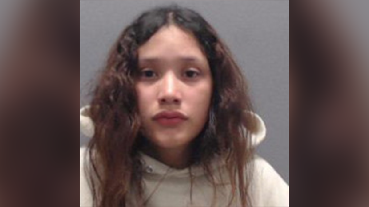 alien smuggling, child smuggling, drugged child, fake birth certificate, Southern Border, San Luis port of entry, Arizona, Gloria Lopez-Corona, Immigration and Customs Enforcement, ICE, Homeland Security Investigations, unaccompanied child, melatonin gummies, Reyna Cecilia Hernandez Reyes, Mexico, Los Angeles, DHS, Tricia McLaughlin, Bill Melugin

