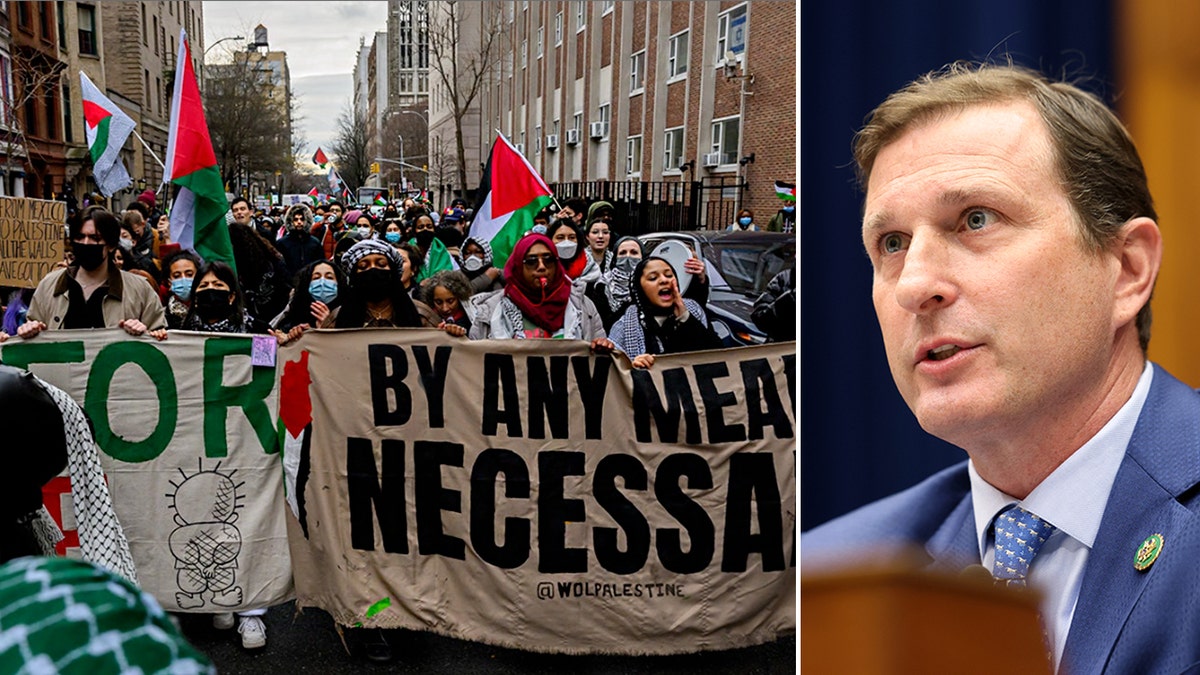 Dan Goldman, antisemitism, Democratic Party, Donald Trump, pro-Hamas protests, college campuses, First Amendment, Jewish Democratic Council of America, hostages, Gaza, House Bipartisan Task Force to Combat Antisemitism, Columbia University, anti-Israel activism, anti-Jewish activism
