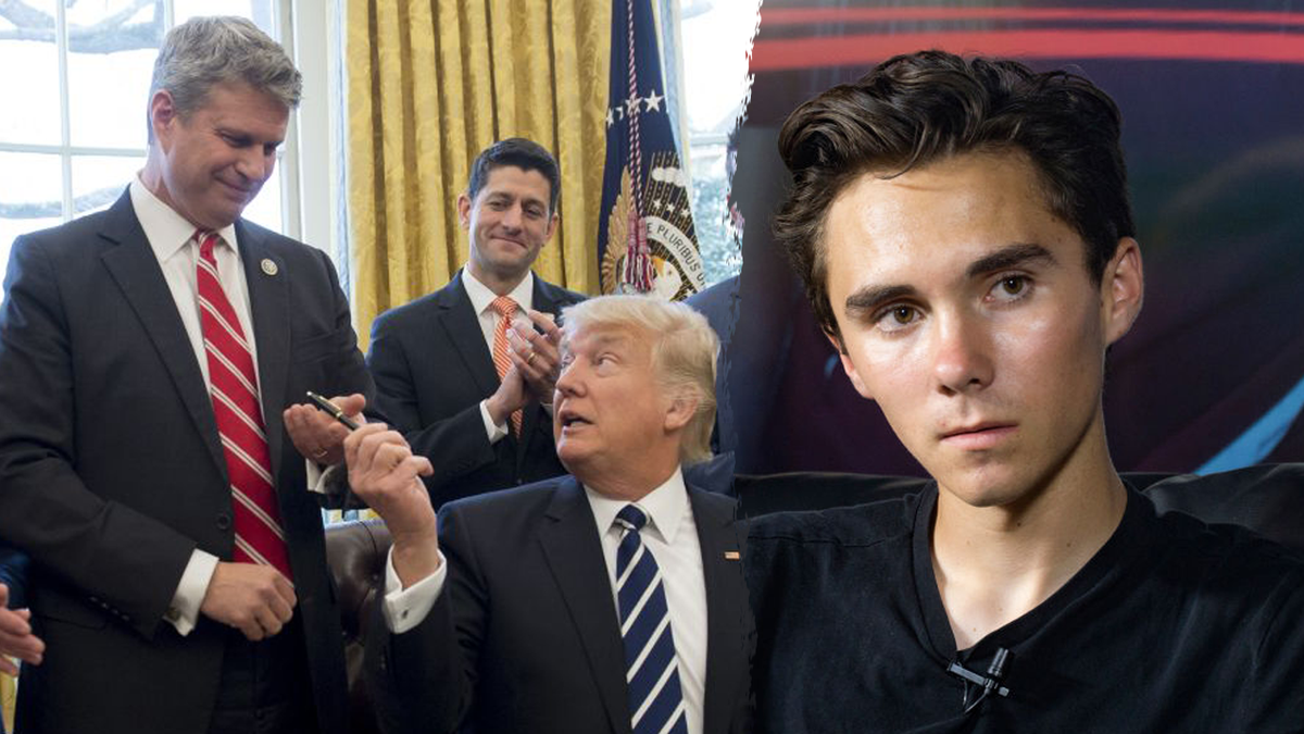 DNC, NRSC, David Hogg, Republicans, Democrats, primary, Jon Ossoff, Donald Trump, Senate, 2026 midterms, John Thune, Tim Scott, Mike Rogers, John Cornyn, Gary Peters, Bill Huizenga, Wesley Hunt, Brendan Jaspers, James Carville, Ulysses S. Grant, election, campaign, House of Representatives, Michigan, Texas
