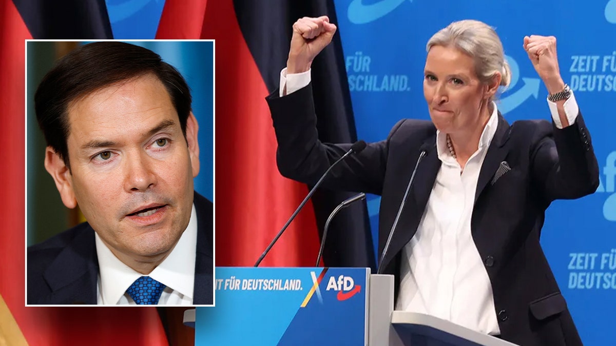 AfD, Alternative for Germany, Germany, extremist, BfV, Federal Office for the Protection of the Constitution, Marco Rubio, Elon Musk, Alice Weidel, Tino Chrupalla, JD Vance, Friedrich Merz, CDU, CSU, Social Democrats, Olaf Scholz, Germany elections, German intelligence agency, anti-migrant, anti-Muslim, free speech, democracy, tyranny
