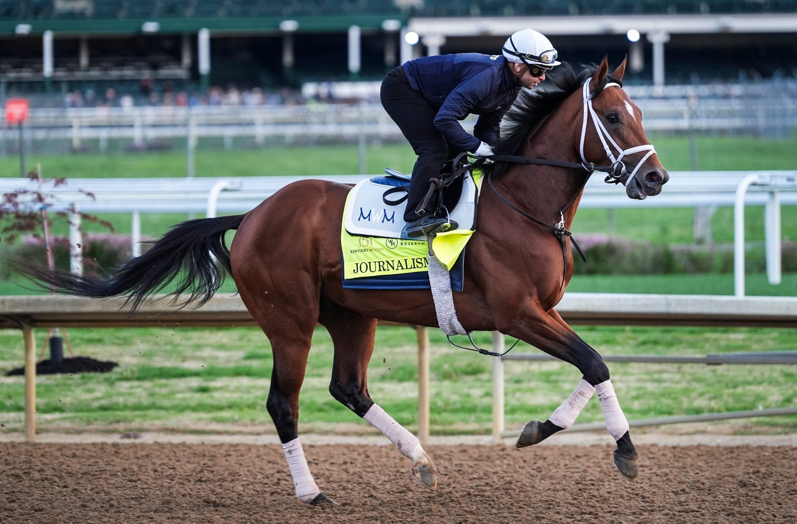Kentucky Derby, Journalism, horse racing, Aron Wellman, horse name, Kentucky Derby 2025, horse odds, betting favorite, Curlin, Mopotism, Santa Anita Derby, post position, Churchill Downs, Triple Crown, Newsboy, Editors Note, Suddenbreakingnews, Mr. Big News

