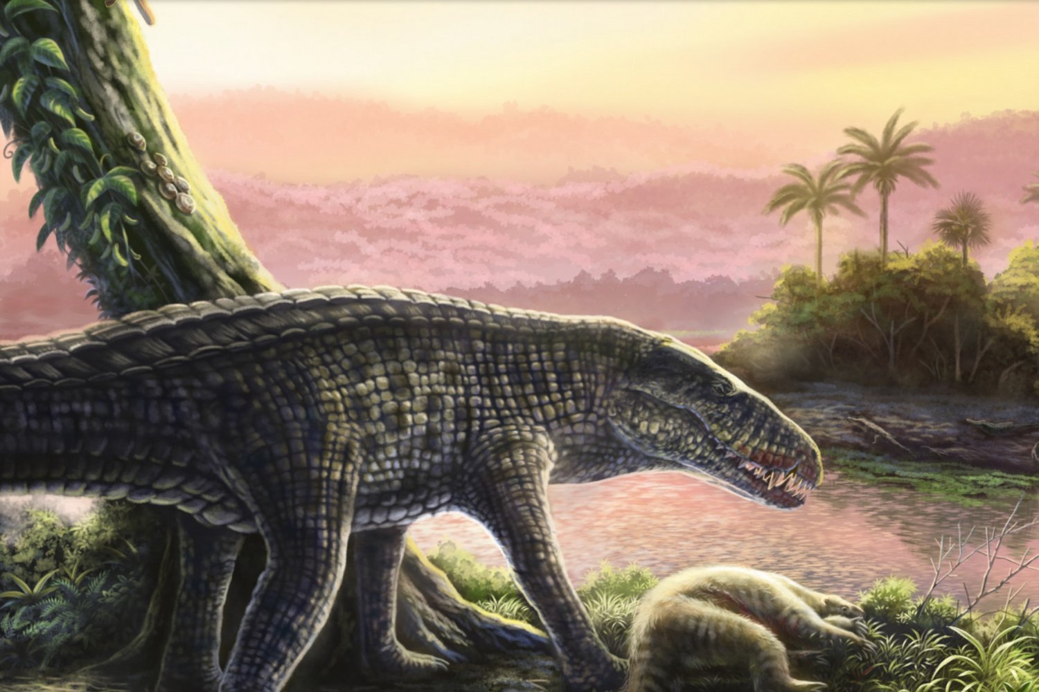 sebecid, crocodile, Caribbean, paleontology, fossils, land predator, GAARlandia, South America, evolution, extinction, Notosuchia, Dominican Republic, vertebrate paleontology, Lazaro Viñola Lopez, Jonathan Bloch

