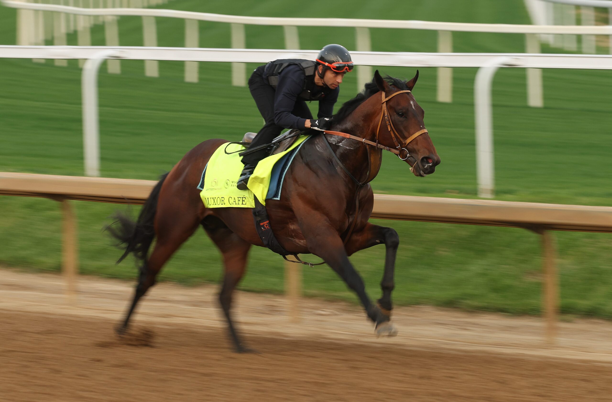 Kentucky Derby, 2025 Kentucky Derby, Horse Racing, Journalism, Odds, Predictions, Experts, USA TODAY Network, Umberto Rispoli, Michael W. McCarthy, Santa Anita Derby, Horse Race, Sports, Rodriguez, Grande, Scratched, KentuckyDerby.com
