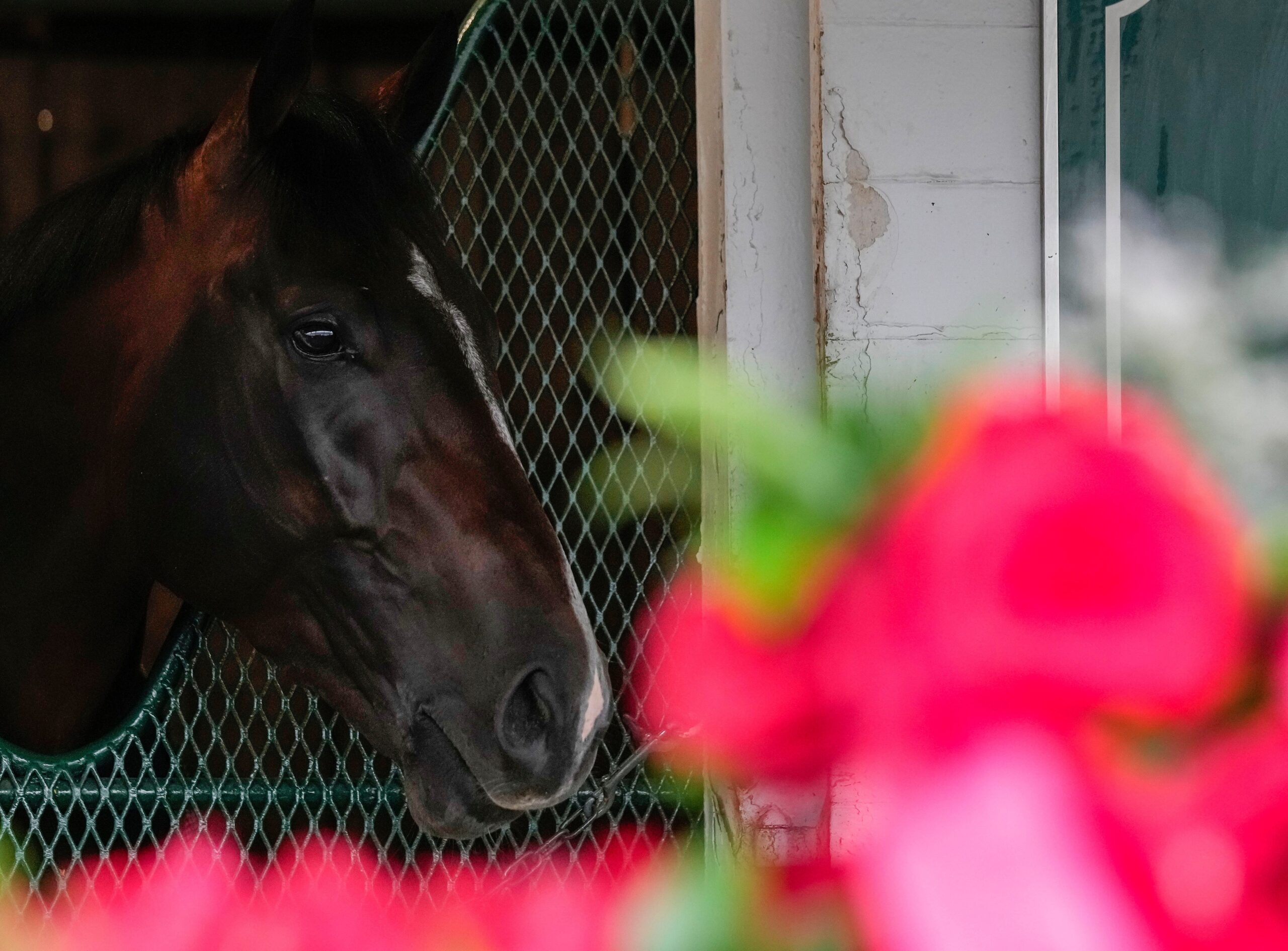 Kentucky Derby, Preakness Stakes, Triple Crown, horse racing, Sovereignty, Bill Mott, horse health, race schedule, thoroughbred racing, racing reform, horse racing industry, American Pharoah, Justify, Mystik Dan, Mage, Godolphin, horse training, racing tradition, horse racing news, Dan Wolken, sports column.
