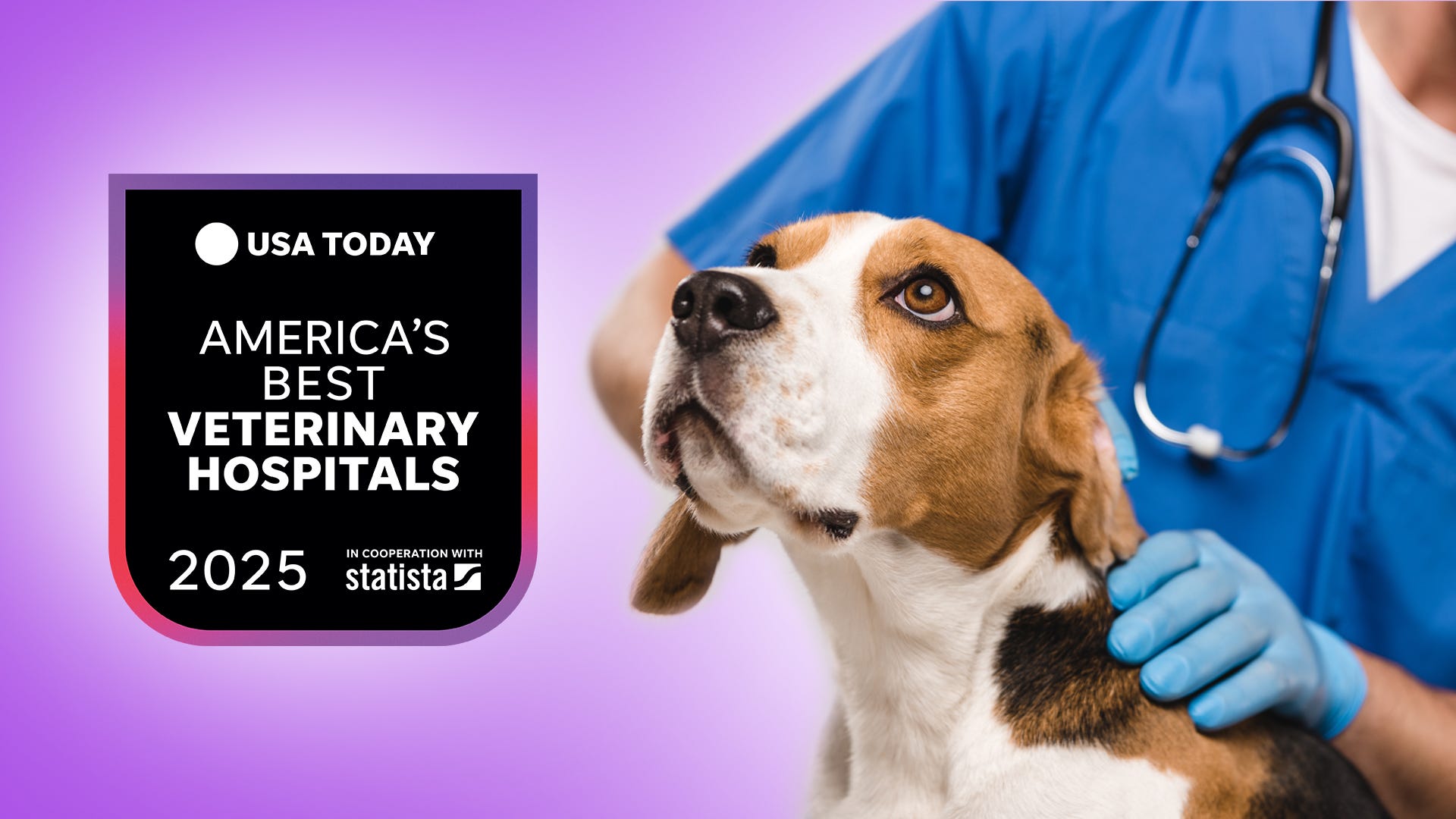 Veterinary hospitals, best veterinary hospitals, pet care, veterinary care, America's best veterinary hospitals, USA TODAY rankings, Statista, veterinary professionals, pet owners, veterinary care deserts, animal health, pet health, veterinarian shortage, 2025 rankings, pet medical care, dog care, cat care, pet surgery, emergency veterinary care
