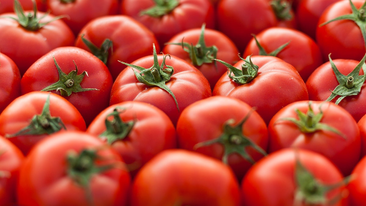 tomato recall, salmonella, Ray & Mascari Inc., Gordon Food Service, food safety, food recall, Indianapolis, vine ripe tomatoes, Hanshaw & Capling Farms, product recall, consumer safety, FDA, foodborne illness, recall notice, affected states, Lot# RM250424 15250B, Lot# RM250427 15250B
