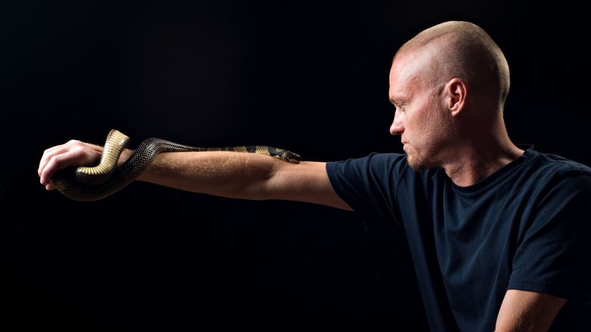 antivenom, snake bites, Tim Friede, hyper-immune, neurotoxins, universal antivenom, Centivax, Jacob Glanville, antibody research, black mamba, king cobra, coral snake, tiger snake, venom EpiPen, intramuscular delivery, veterinary clinics, viper bites, horse immunization, sheep immunization, World Health Organization, snake venom, National Institute of Allergy and Infectious Diseases, National Institutes of Health, U.S. Department of Energy

