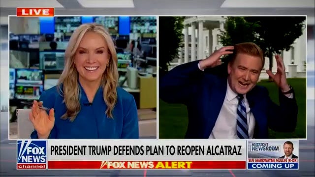 Peter Doocy, bird attack, White House, Fox News, Dana Perino, Alcatraz, Fernando Cervantes Jr., news, reporter, 