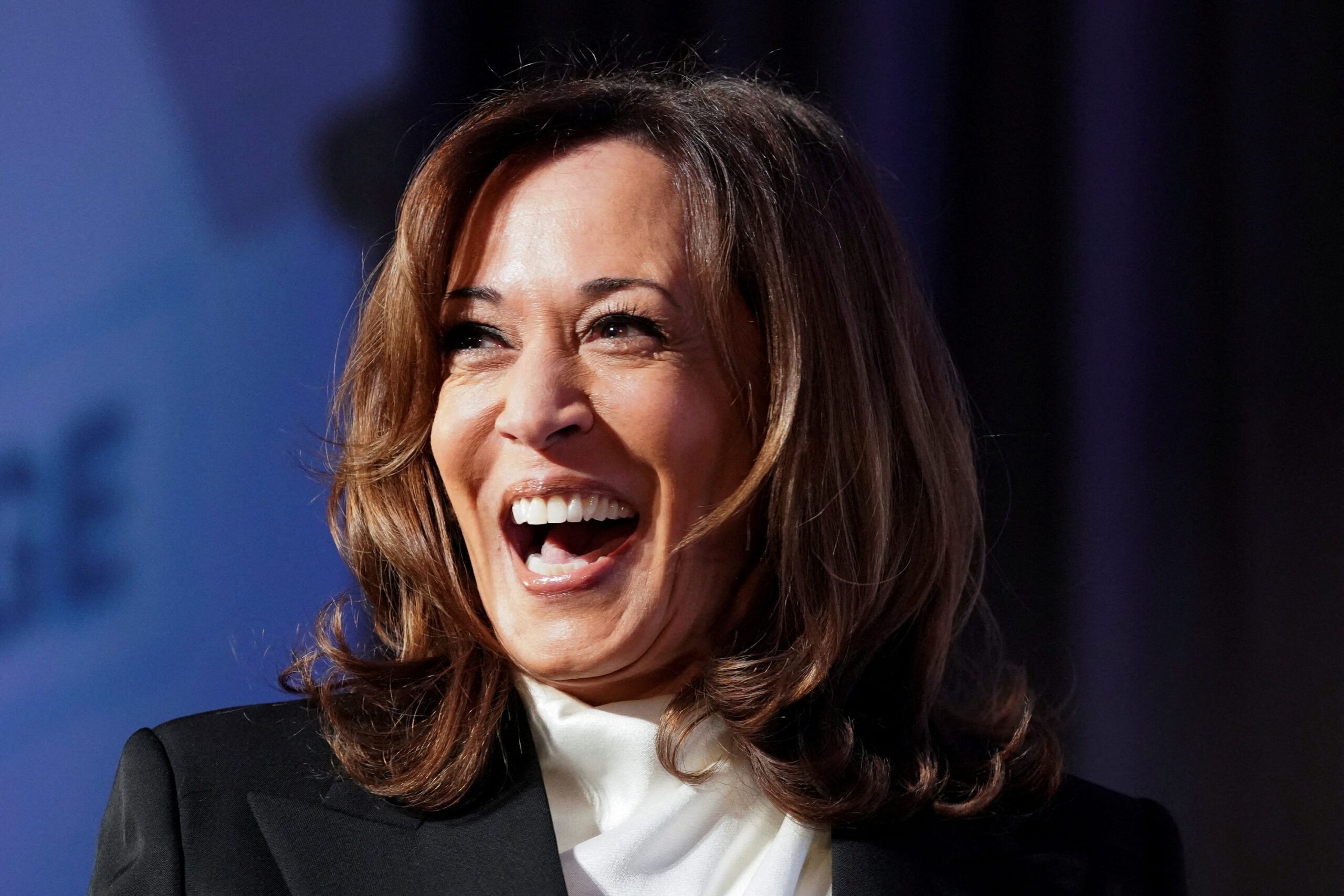 Kamala Harris, Met Gala, Superfine: Tailoring Black Style, fashion, Anna Wintour, Donald Trump, Costume Institute Benefit, Met Gala 2024, Democratic Party, election, Emerge 20th Anniversary Gala, politics
