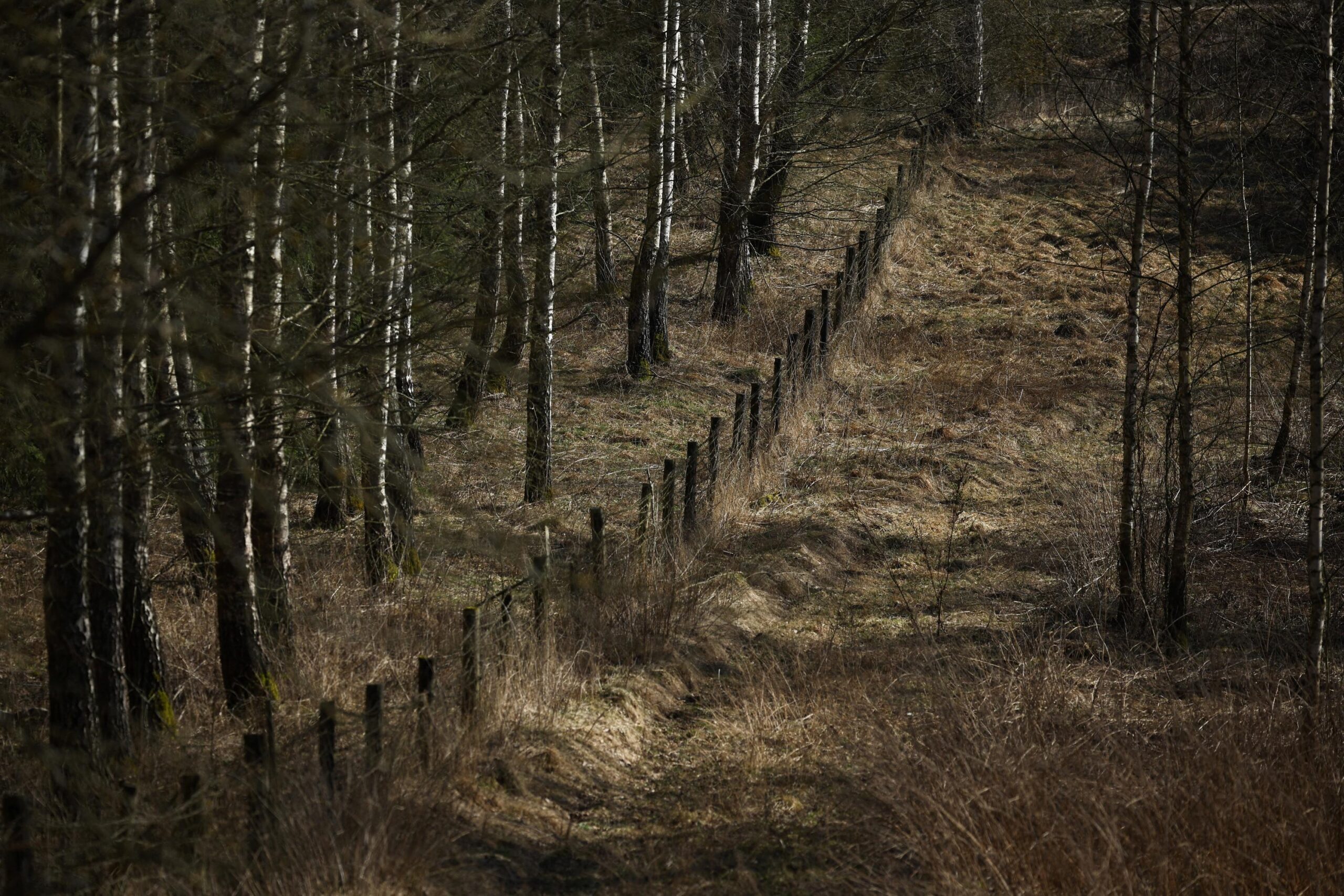Lithuania, Russia, Belarus, border security, defense spending, anti-tank mines, NATO, Suwalki Gap, Baltic states, military fortifications, electronic warfare, drone defense, early warning system

