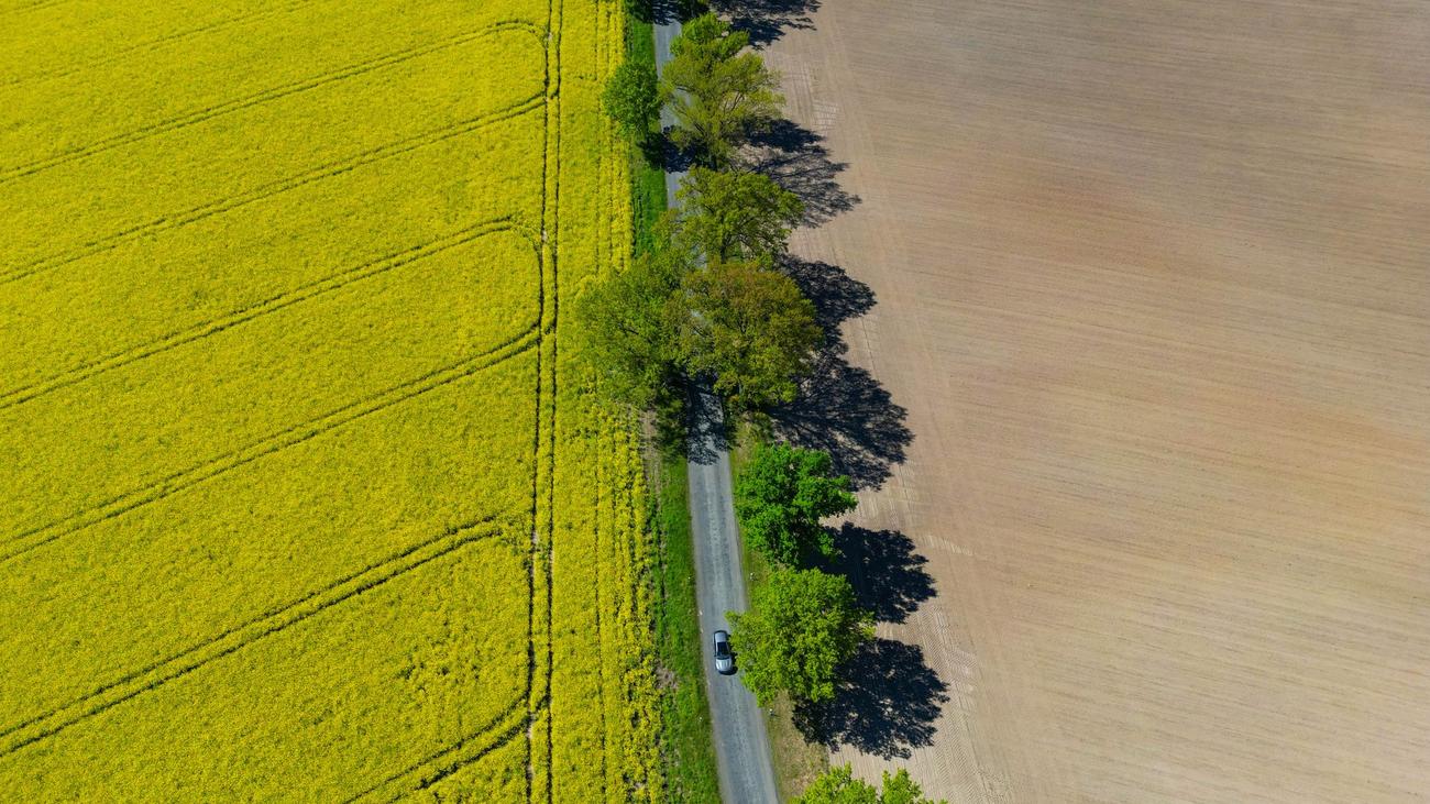 Berlin, Brandenburg, weather, forecast, Germany, Deutscher Wetterdienst, DWD, sun, clouds, rain, temperature, frost, Niederlausitz, Wednesday, Thursday
