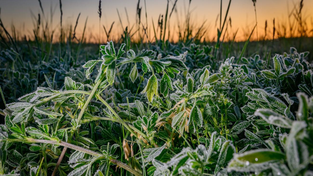 Hessen, weather forecast, Germany, Deutscher Wetterdienst, DWD, rain, clouds, sun, temperature, forecast, weather, Bodenfrost, frost, Schauern, showers
