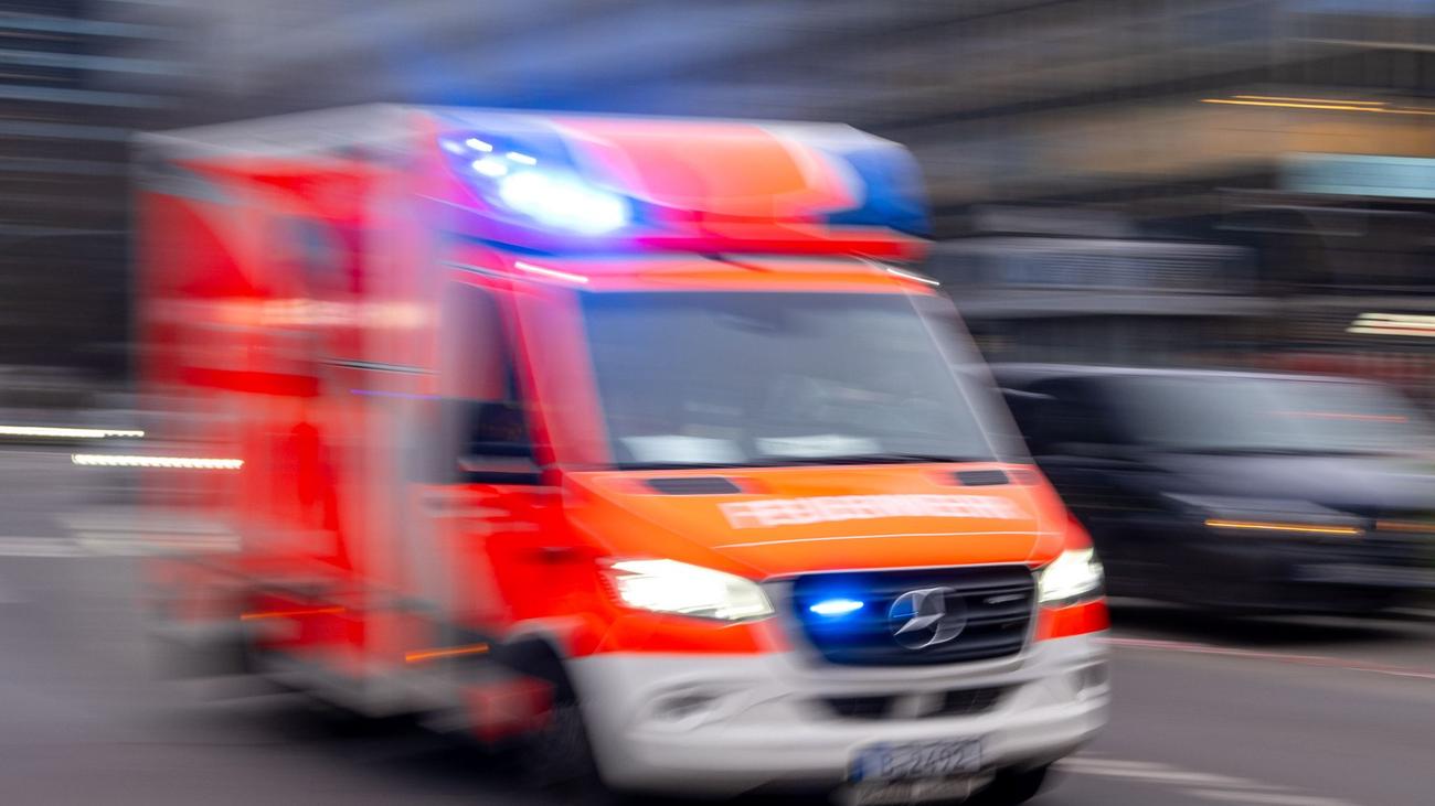 fatality, logging accident, Römhild, Zeilfeld, Hildburghausen, falling branch, head injury, forestry, Germany, death, police report, tree felling, forest accident
