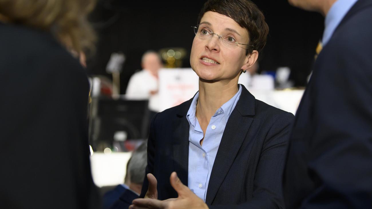 Frauke Petry, neue Partei, Team Freiheit, AfD, antietatistisch, freiheitlich, Landtagswahlen, Baden-Württemberg, Rheinland-Pfalz, Staatsquote, kulturelle Westbindung, Meinungsfreiheit, Bernd Lucke, Björn Höcke, Die Blaue Partei, Parteilos, Unternehmer, Politik
