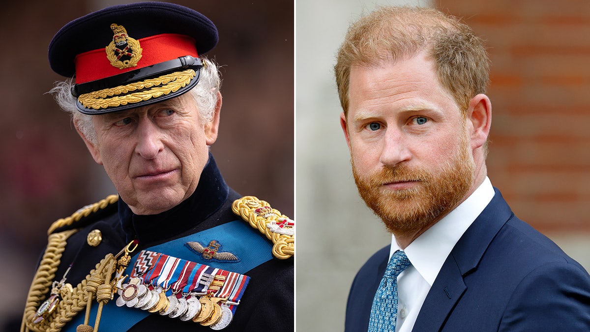 Royal Family, Prince Harry, King Charles, Queen Camilla, VE Day, Victory in Europe Day, Meghan Markle, Security Appeal, Royal Rift, Prince William, Kate Middleton, Reconciliation, Buckingham Palace, Royal News, British Monarchy, Royal Veterans, Prince Harry Security, Royal Family Feud
