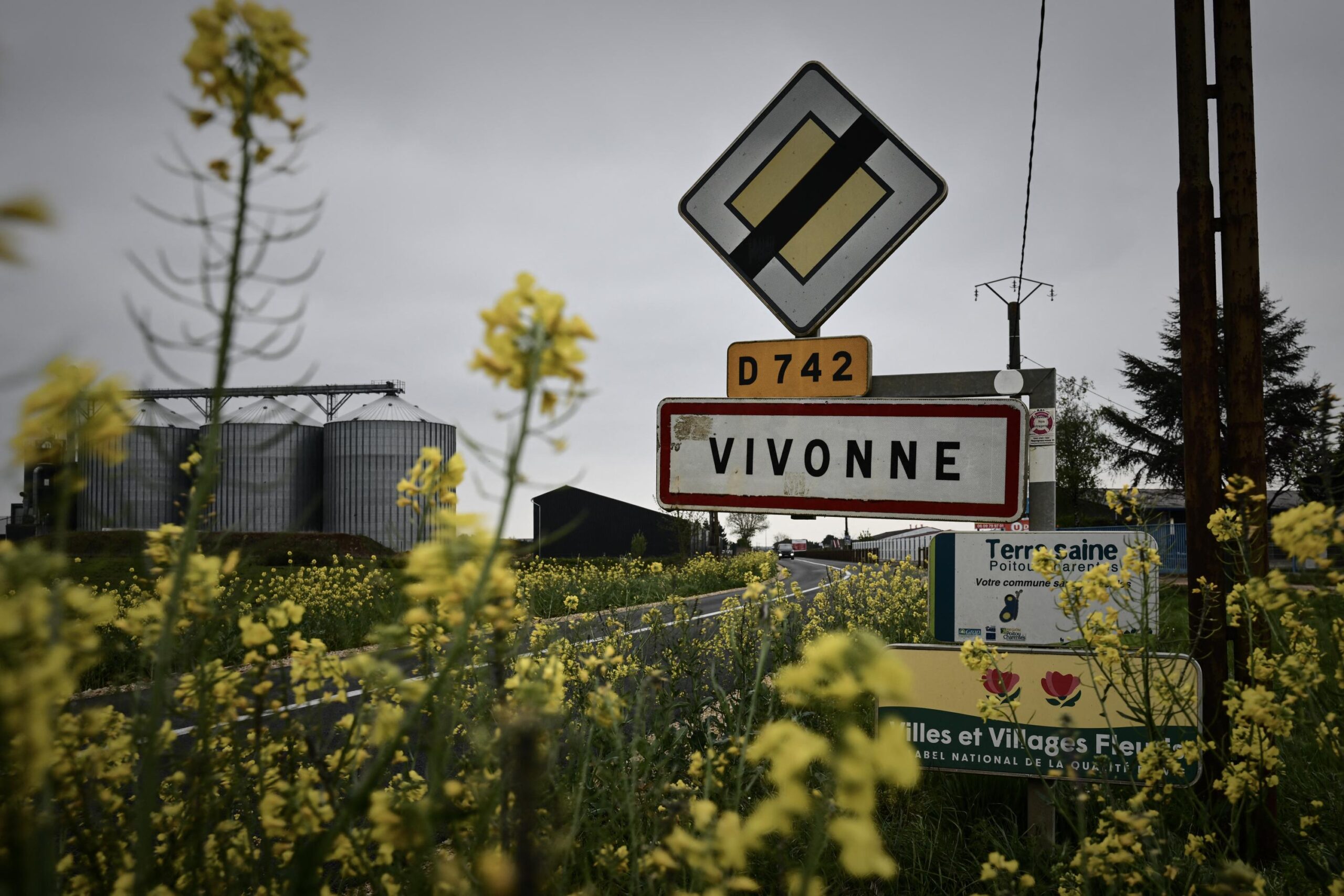 Agathe Hilairet, jogger, disappearance, Vivonne, body found, investigation, news, France, crime, local news, missing person, murder, Magali, witness, community
