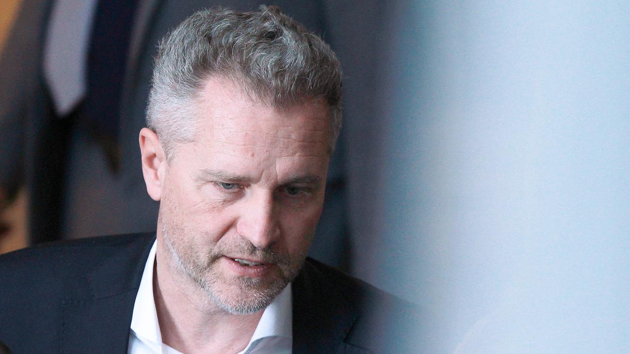 Petr Bystron, AfD, Europäisches Parlament, Immunität, Bestechlichkeit, Geldwäsche, Voice of Europe, Russland, Korruption, Ermittlungen, Bundestag, Maximilian Krah, Wiktor Medwedtschuk, Marc Dassen, Betrug, Steuerhinterziehung, Hitlergruß, Desinformation, EU-Parlament
