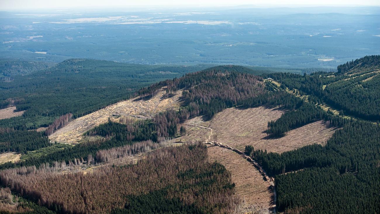 Mining, Südniedersachsen, Anglo American Exploration Germany, Metals, Salts, Leine-Salz, Harzvorland, Copper, Lead, Gold, Silver, Georadar, Raw Materials, Resource Extraction, Energy Transition, Thuringia, Test Drillings, Ore Deposits, Harz Mountains, Mining Region, Silver, Copper, Lead, Zinc
