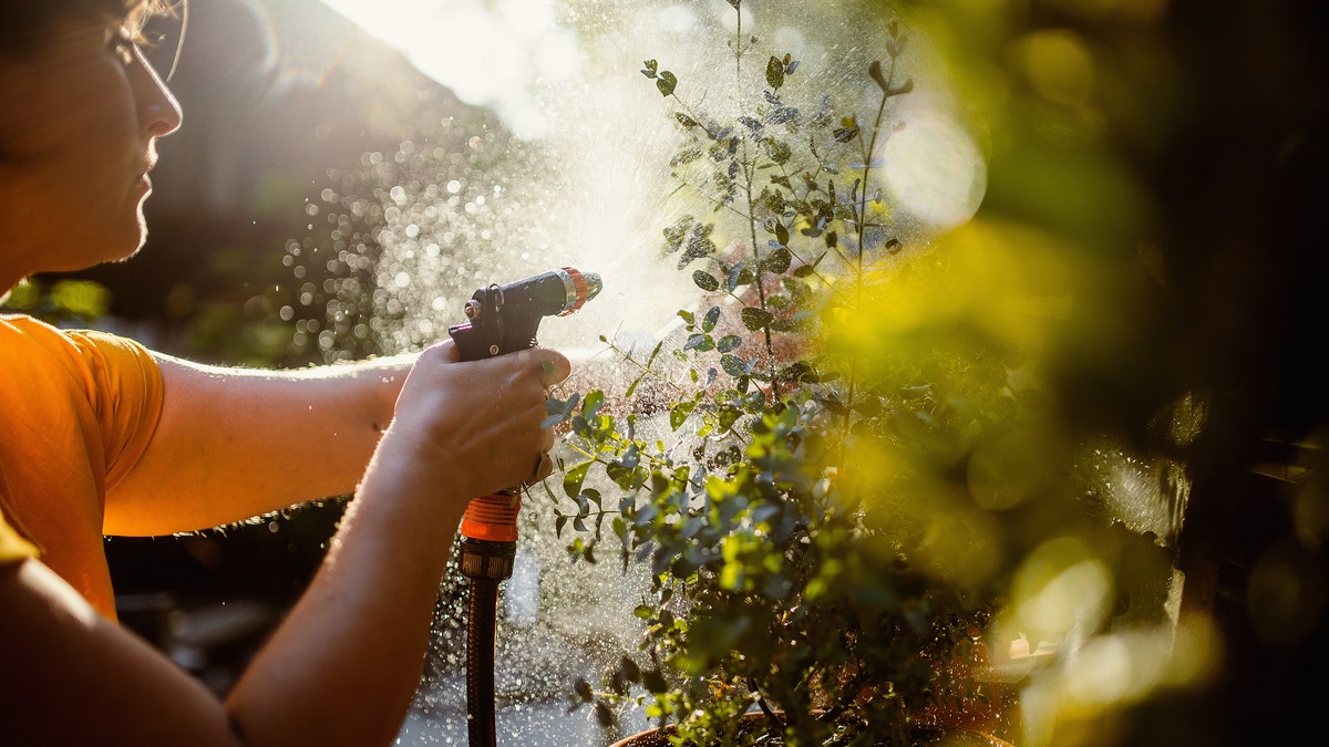 Walmart, deals, summer, sale, fashion, air conditioners, solar lights, garden hoses, metal sheds, flash deals, solar lights, garden hose, high chair, summer dresses, blouses, dog playpen, cookware, metal shed, air conditioner, electric scooter
