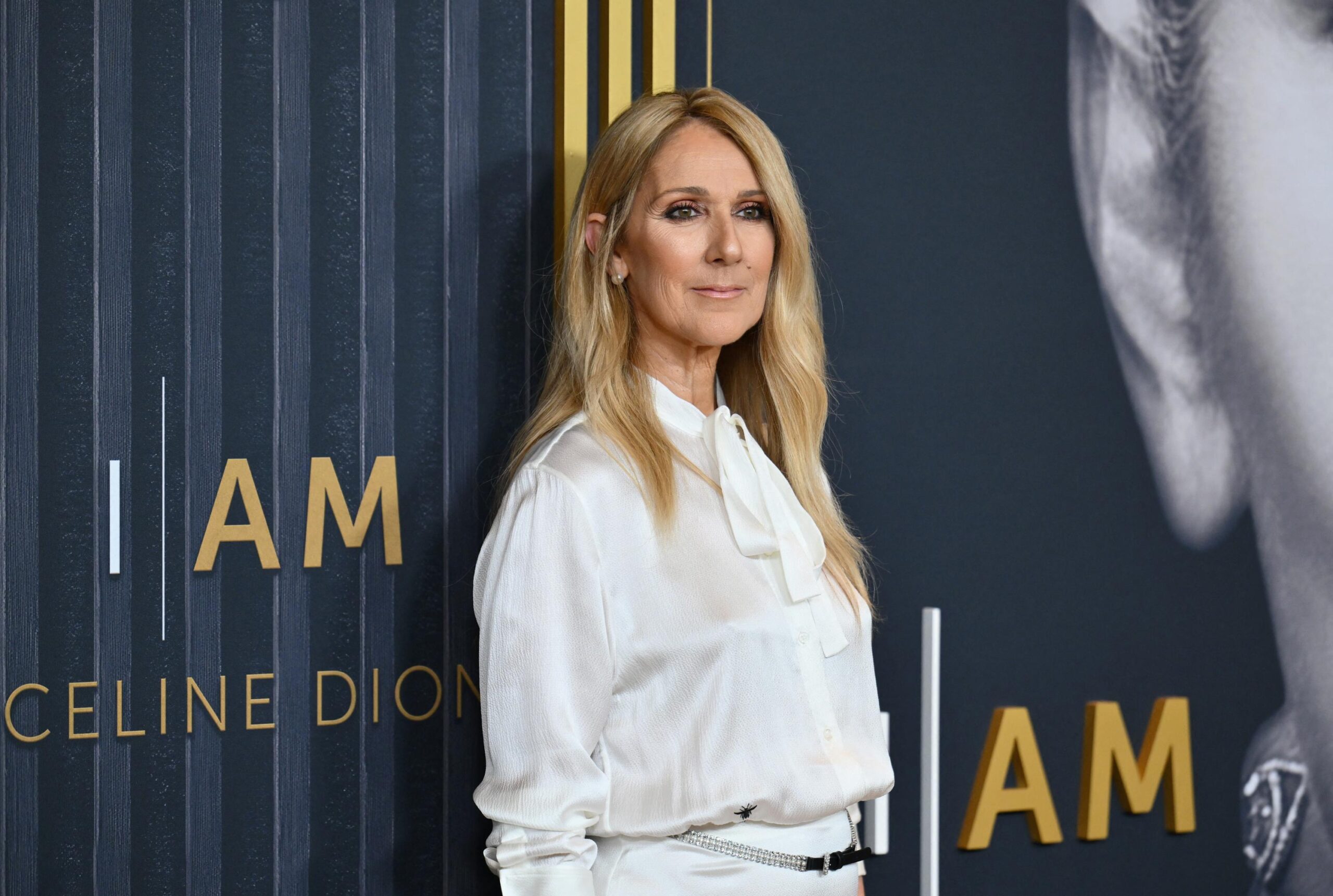 Céline Dion, Mylène Farmer, cinéma, film, High in the Clouds, Paul McCartney, Alain Chabat, animation, doublage, voix, maladie rare, actualités, célébrités, musique, bande originale, Michael Giacchino, 88 Pictures, Netflix, Disney+
