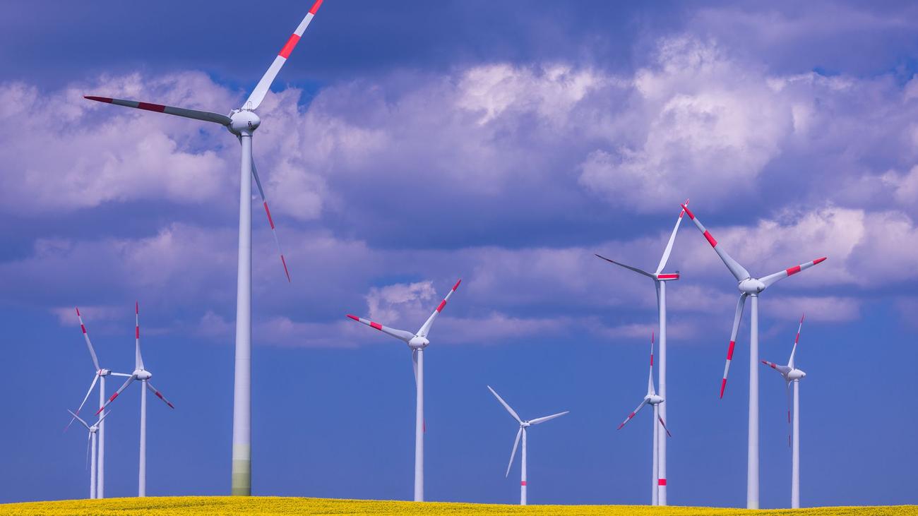 Windenergie, Mecklenburg-Vorpommern, Windparks, Genehmigungen, Till Backhaus, Untätigkeitsklagen, Erneuerbare Energien, Energiewende, Raumplanung, Offshore-Windparks, Iberdrola, Windkraftausbau, Windräder, Gennaker, Darß, Wind & Maritim, WindEnergy Network, Investoren, Verfahrensdauer, Personalstellen, Westmecklenburg, Netzausbau, Tourismusverbände, Umweltverbände
