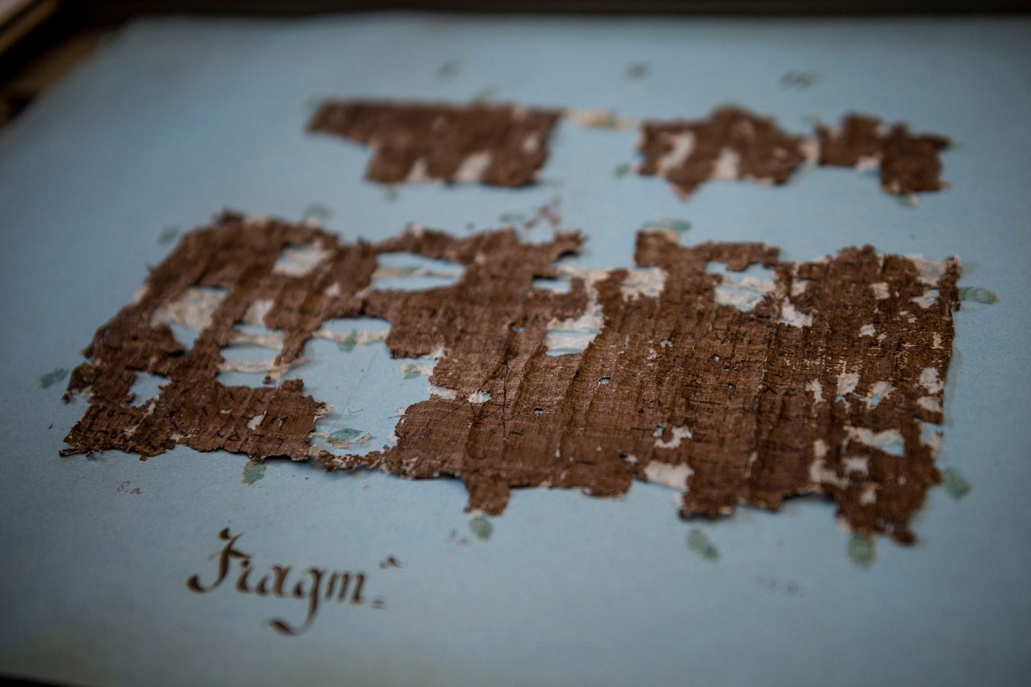 Herculaneum scrolls, Philodemus, On Vices, Vesuvius Challenge, AI, artificial intelligence, machine learning, ancient texts, digital unwrapping, Villa of the Papyri, Epicurean philosophy, classical world, X-ray tomography, Volume Cartographer, carbonized scrolls, text decipherment
