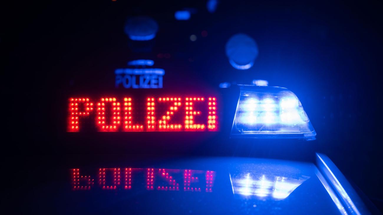 cows, cattle, escaped cows, escaped cattle, Öhringen, Hohenlohekreis, Landesstraße, road turned pasture, police, farmer, electric fence, road closure
