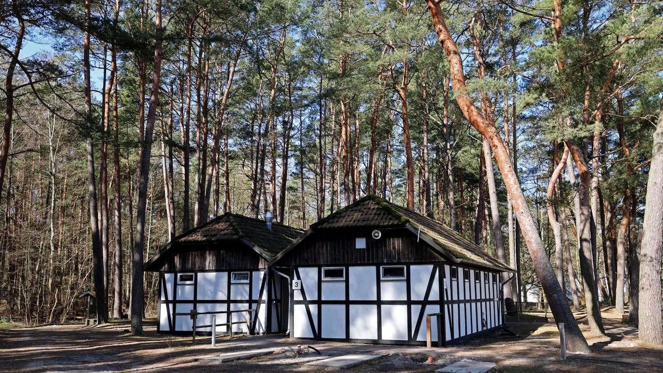 Prerow, Dünencampingplatz, Regenbogen AG, Mecklenburg-Vorpommern, Landgericht Stralsund, Pachtvertrag, Kündigung, Räumung, Ablösesumme, Waldfläche, Urteil, Berufung, Oberlandesgericht, Campingplatz, Tourismus, Ostsee
