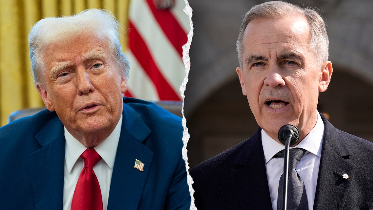 Canada, Canadian election, Mark Carney, Liberal Party, Donald Trump, Conservative Party, Pierre Poilievre, annexation, US-Canada relations, foreign interference, political analysis, Christopher Adams, Nelson Wiseman, House of Commons, minority government, leadership review, Reform Act, King Charles III, Speech from the Throne, Canadian sovereignty
