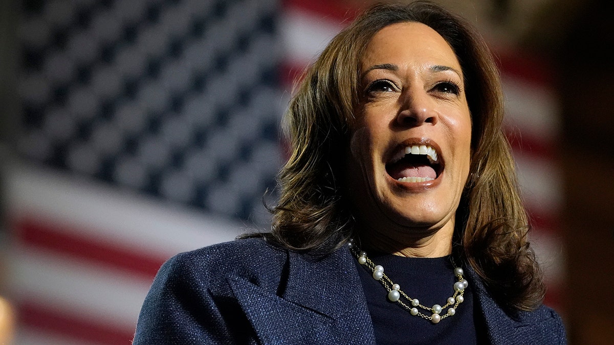 Kamala Harris, Met Gala, Democratic Party, Donald Trump, Superfine: Tailoring Black Style, Black dandyism, criticism, social media, fundraising, populism, working class, elites, Vogue, art, politics, fashion, Alexandria Ocasio-Cortez, Bernie Sanders, tariffs, groceries, wealth, Cruella de Vil, Lizzo, RNC, satire, media, culture
