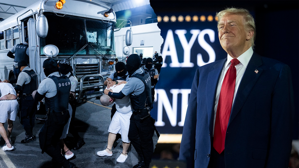 Daniel Lozano-Camargo, asylum seeker, deportation, El Salvador, Alien Enemies Act, due process, Judge Stephanie Gallagher, Trump administration, 4th Circuit, DHS settlement, unaccompanied children, asylum case, breach of contract, cocaine possession, alien enemy, court hearing, legal process
