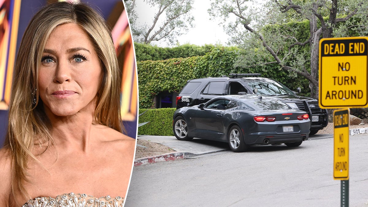 Jennifer Aniston, Jimmy Wayne Carwyle, vandalism, Friends, home security, celebrity crime, Los Angeles, Nicole Kidman, Keith Urban, Pierce Brosnan, burglary, trespasser, gate ramming
