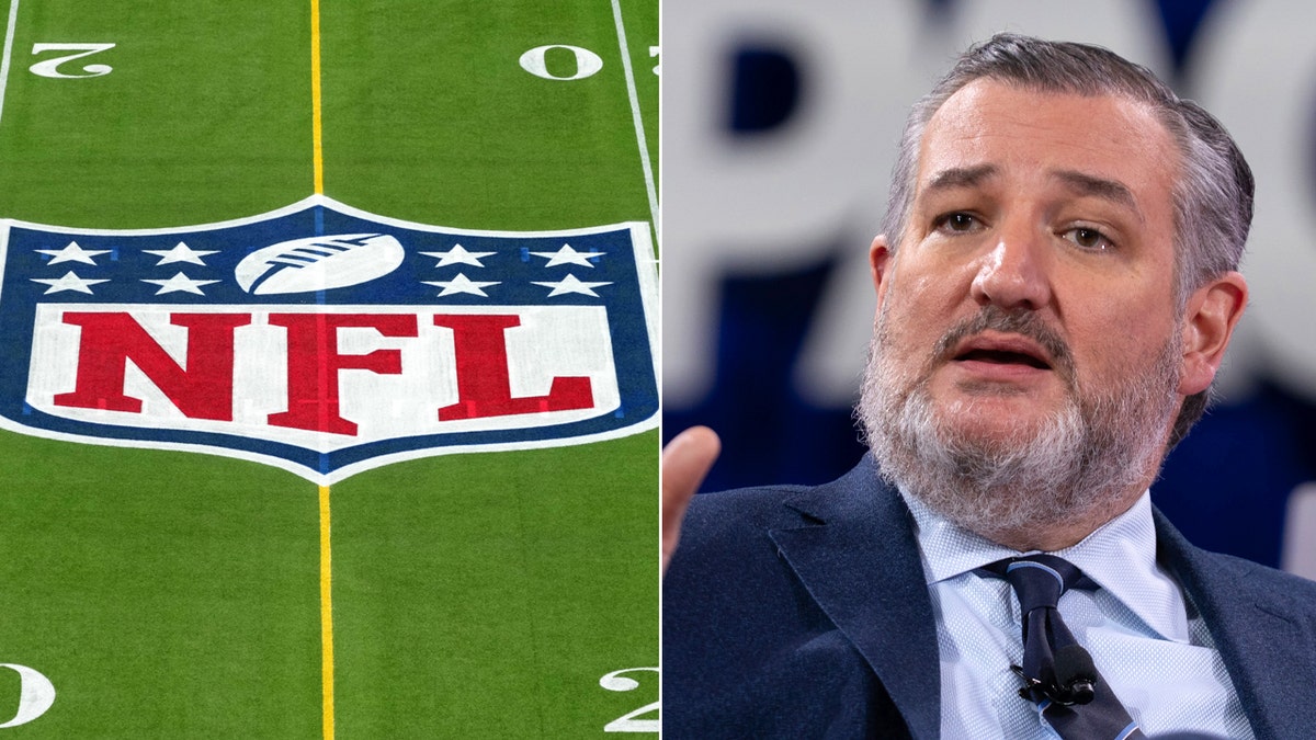 Ted Cruz, NFL, Sports Broadcasting Act, Black Friday, College Football, High School Football, Roger Goodell, Senate Commerce Committee, Field of Streams, Streaming, Antitrust, Texas A&M, NFL Draft, Fox News, Sports Coverage

