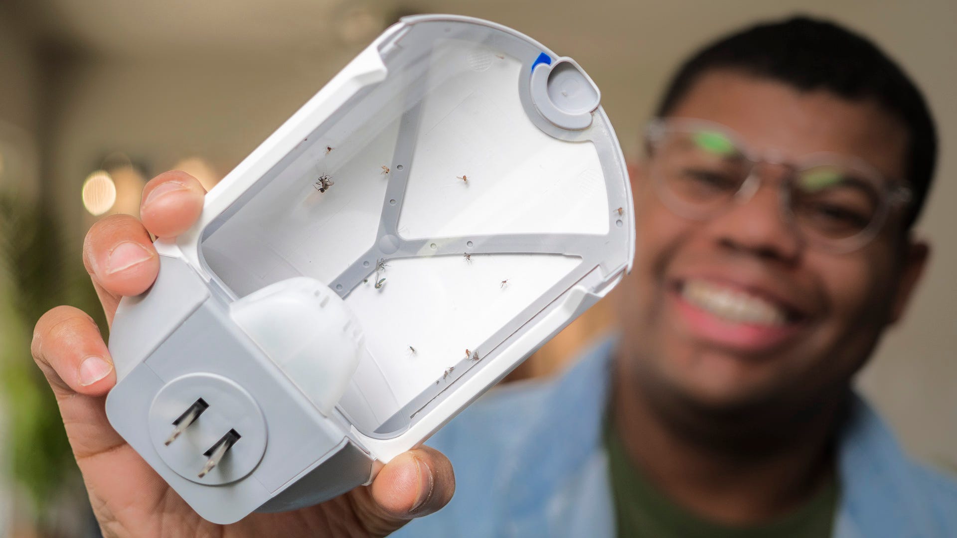 gnats, fruit flies, pest control, home remedies, bug traps, DIY pest control, insect traps, get rid of gnats, get rid of fruit flies, how to get rid of gnats, how to get rid of fruit flies, natural pest control, indoor pest control, home pest control, pest prevention

