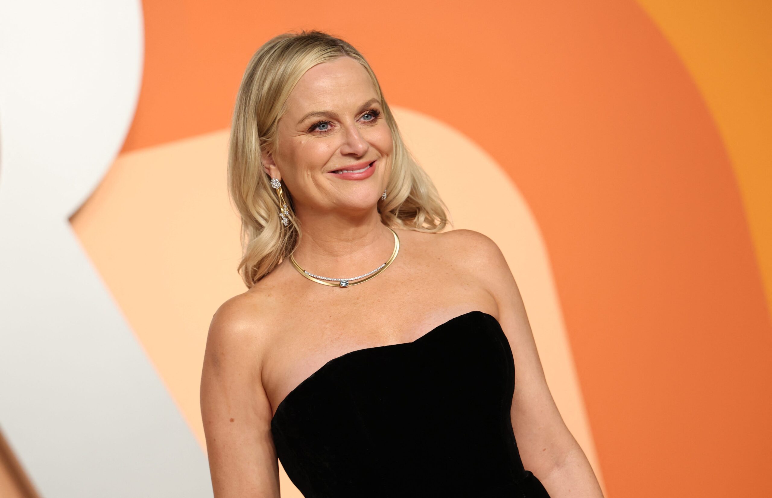 Amy Poehler, Michael Schur, Dig, Peacock, Parks and Recreation, comedy series, archeological dig, Greece, Excavations, Kate Myers, Leslie Knope, new show, reunion, casting, executive producers, Morgan Sackett, David Miner, The Good Place, Inside Out, Making It, Good Hang, podcast, Rashida Jones, Tina Fey, Paul Rudd
