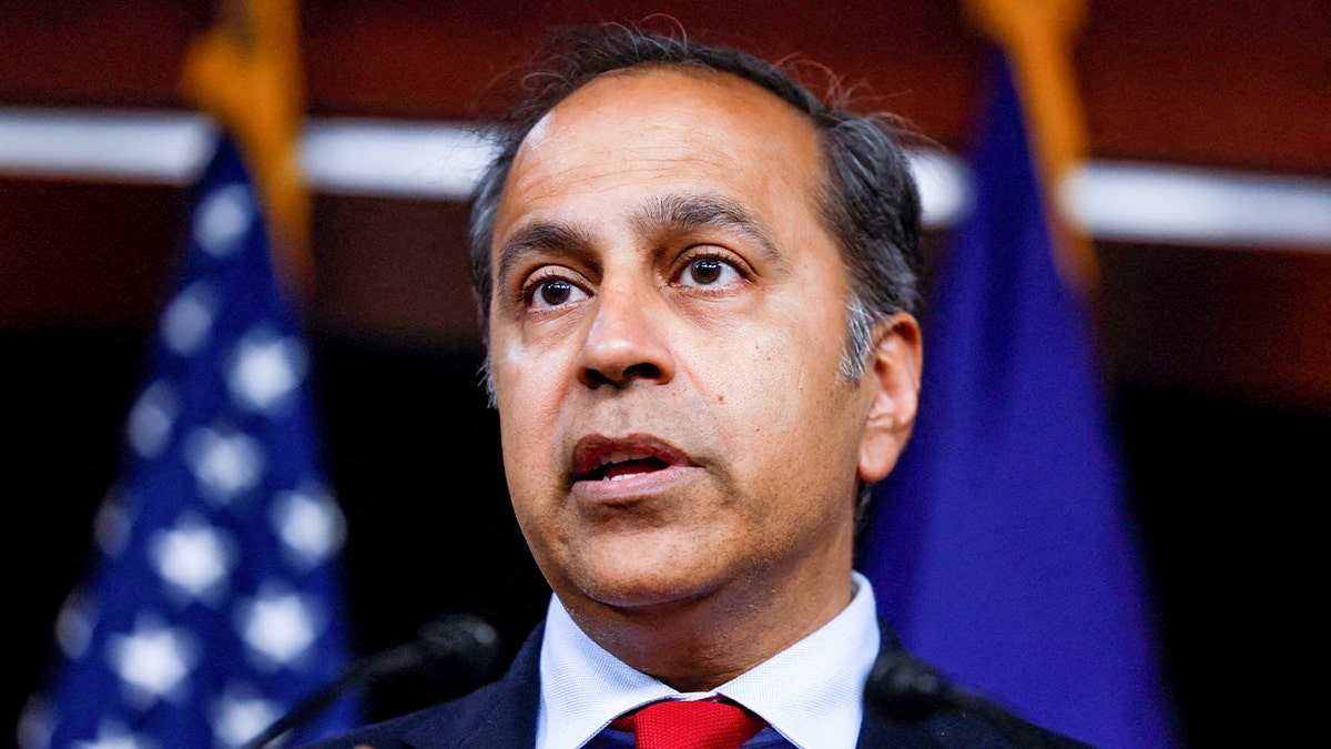 Raja Krishnamoorthi, Dick Durbin, Illinois Senate race, Robin Kelly, Juliana Stratton, JB Pritzker, Tammy Duckworth, Lauren Underwood, campaign finance, Elon Musk, Donald Trump, Barack Obama, Planned Parenthood, NRA, Select Committee on the CCP, Oversight Committee, Health Care and Financial Services
