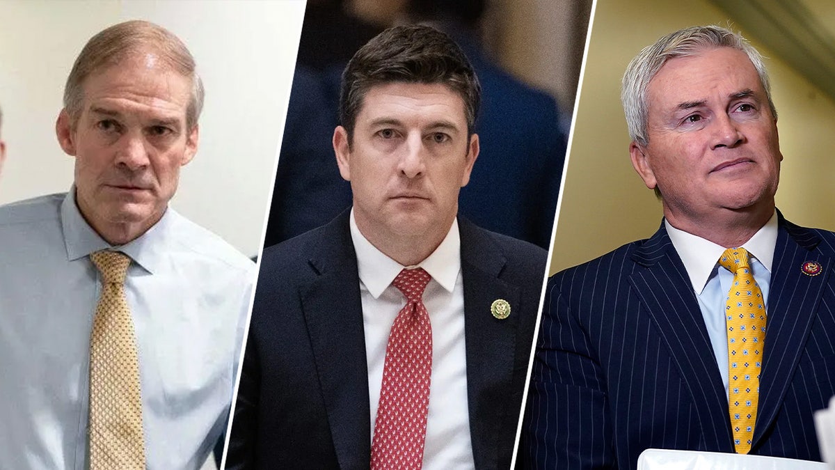 ActBlue, Democratic fundraising, campaign finance, James Comer, Jim Jordan, Bryan Steil, House Oversight Committee, House Judiciary Committee, Committee on House Administration, political donations, fraud prevention, foreign actors, CVV, donor verification, DOJ, Department of Justice, investigation, Republican investigation, political action committee, unauthorized donations, fraudulent donations
