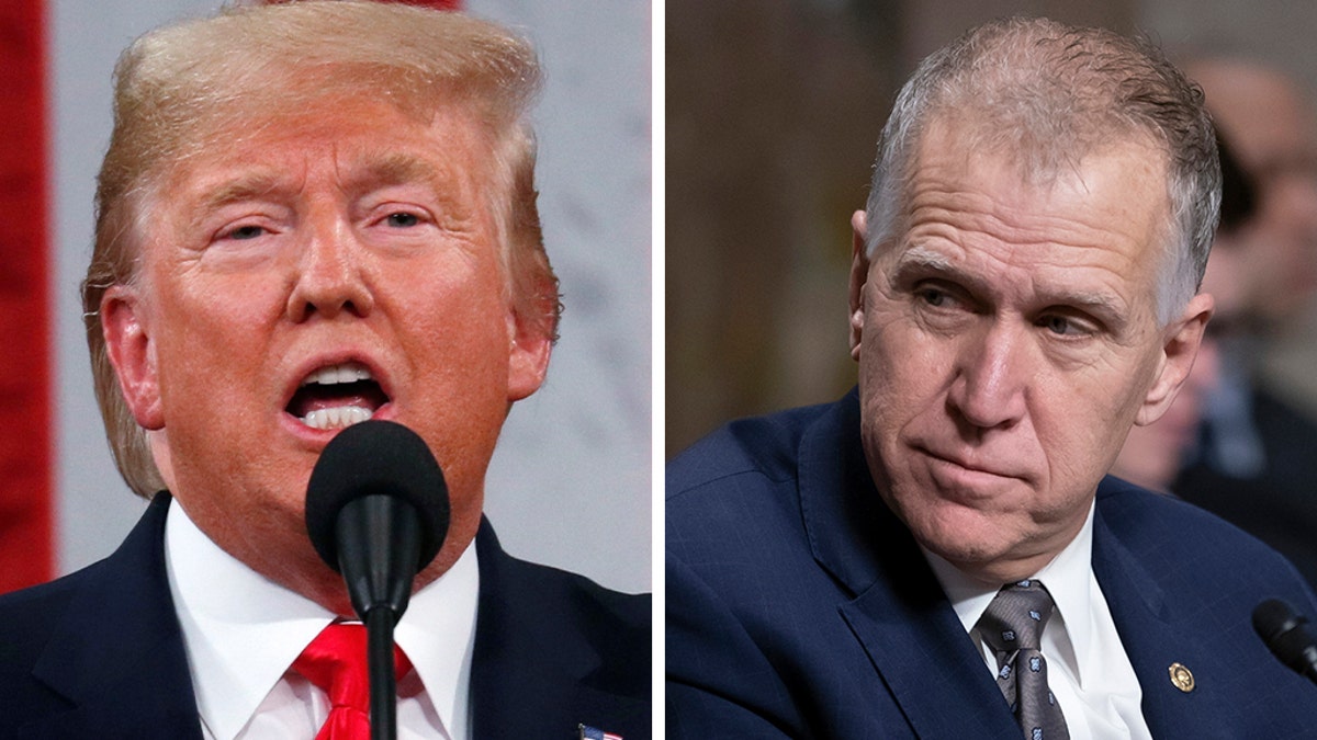 Donald Trump, Thom Tillis, Ed Martin, U.S. Attorney, Washington D.C., nomination, Senate Judiciary Committee, confirmation process, Judge James Boasberg, Jan. 6 riot, Attorney General Pam Bondi, interim appointment, crime rate, Republican Senators, David Perdue, U.S. ambassador to China.
