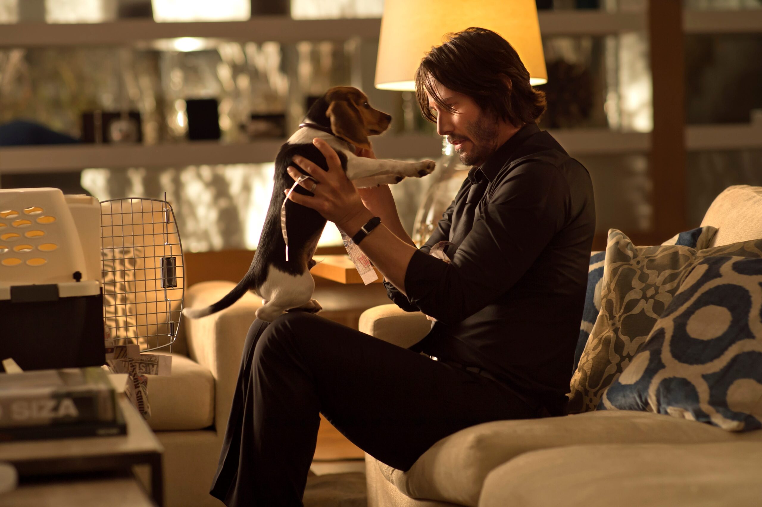 John Wick, Keanu Reeves, Chad Stahelski, Wick Is Pain, documentary, action movies, stunt design, Lionsgate, Eva Longoria, behind the scenes, filmmaking, stunt work, movie franchise, David Leitch, Heidi Moneymaker, gun fu, action sequences, plug guns, John Wick: Chapter 4, Ballerina, John Wick: Under the High Table
