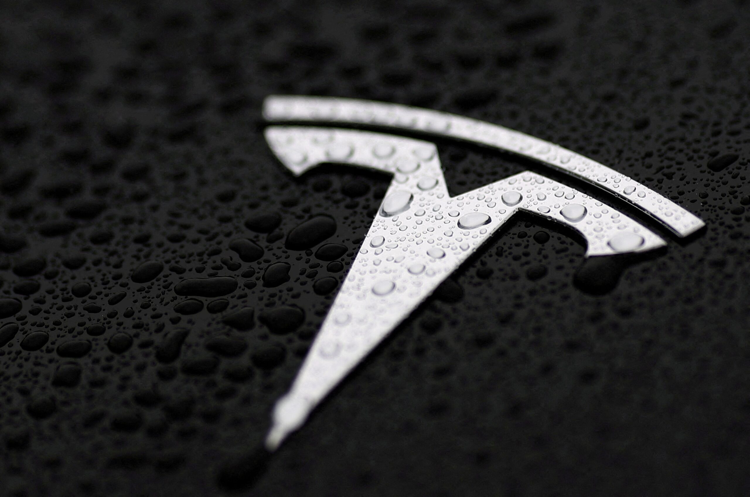 Tesla, Elon Musk, electric vehicles, Model Y, EV sales, car sales, protests, boycott, Trump administration, financial losses, Britain, Germany, Reuters, car industry, rear-wheel drive, long-range EV, federal tax credit
