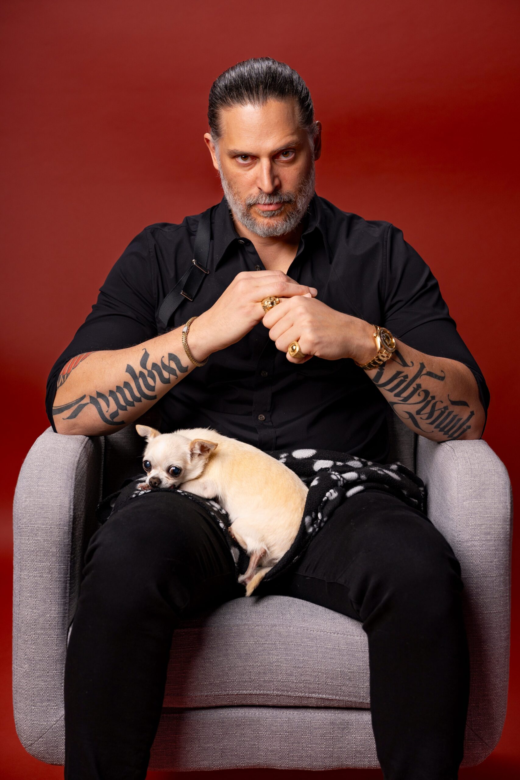 Joe Manganiello, Nonnas, Netflix, movie, Hoboken, New Jersey, Enoteca Maria, Vince Vaughn, Lorraine Bracco, Susan Sarandon, Brenda Vaccaro, Talia Shire, Caitlin O'Connor, Bubbles, chihuahua, Dogs Without Borders, Sofia Vergara, Armenian genocide, Armenian Assembly of America, Azerbaijan, President Joe Biden.
