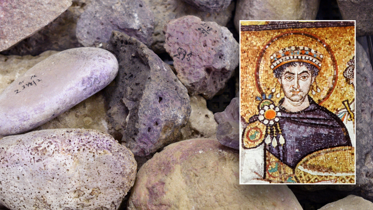 ancient purple dye factory, Tel Shiqmona, Israel, archaeology, biblical times, Iron Age, purple dye production, mollusks, dye workshops, textile dyeing, Golan Shalvi, PLOS One, Haifa, Mediterranean Sea, Kings Solomon, King David, Acts 16:14, Mark 15:17, purple cloth, industrial site, dye analysis, history
