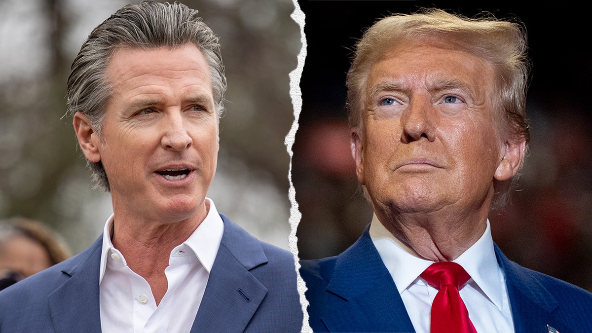 Gavin Newsom, California, 2028 presidential election, Donald Trump, fact-check website, misinformation, California politics, poll, voter opinion, presidential ambitions, California economy, wildfires, housing crisis, tariffs, Democratic Party, MAGA, clean energy, climate change, immigration, Joe Biden, Kamala Harris.
