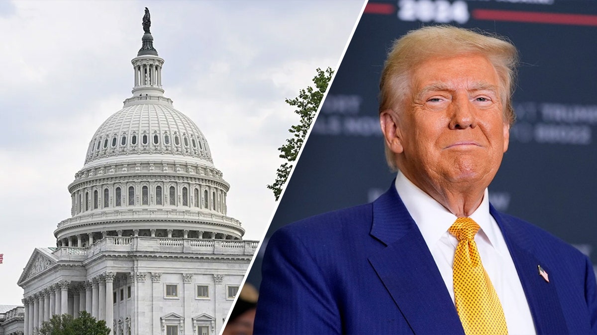 tax hike, ultra-wealthy, Republicans, Capitol Hill, Donald Trump, tax breaks, middle class, working class, Tax Cuts and Jobs Act, TCJA, House Freedom Caucus, Andy Harris, income tax bracket, debt, spending, budget reconciliation, Heritage Foundation, Americans For Prosperity, AFP, House Ways & Means Committee
