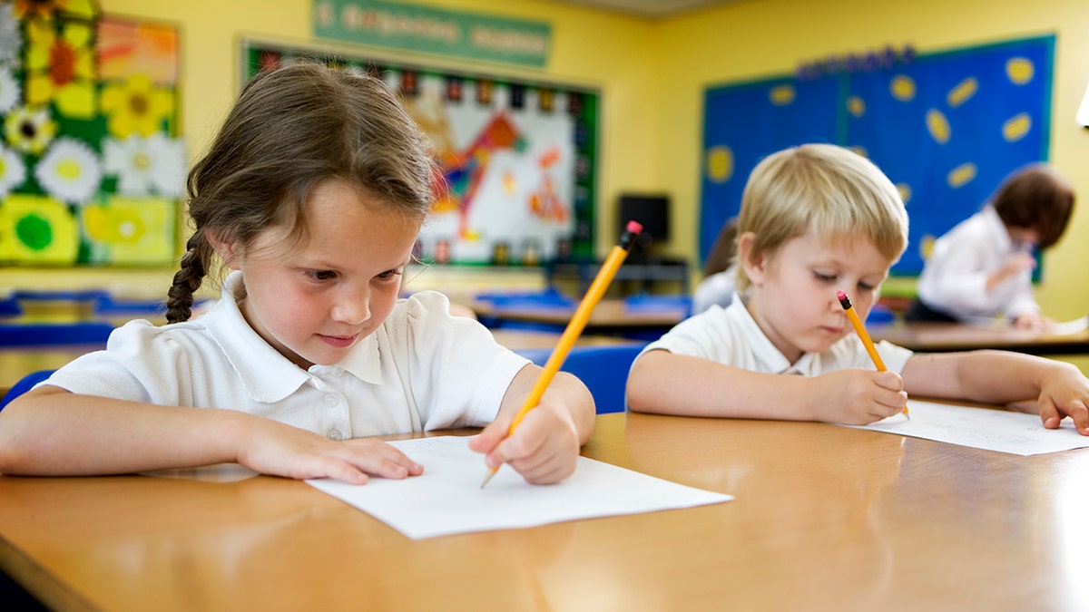 left-handedness, neurological disorders, autism, schizophrenia, mixed-handedness, ambidexterity, dyslexia, ADHD, brain development, hand preference, psychiatric conditions, psychological conditions, linguistic symptoms, stuttering, language, logical thought, neurorehabilitation, stroke, multiple sclerosis, traumatic brain injury, correlation, causation, mental health, thumb-sucking, genetics, research, study
