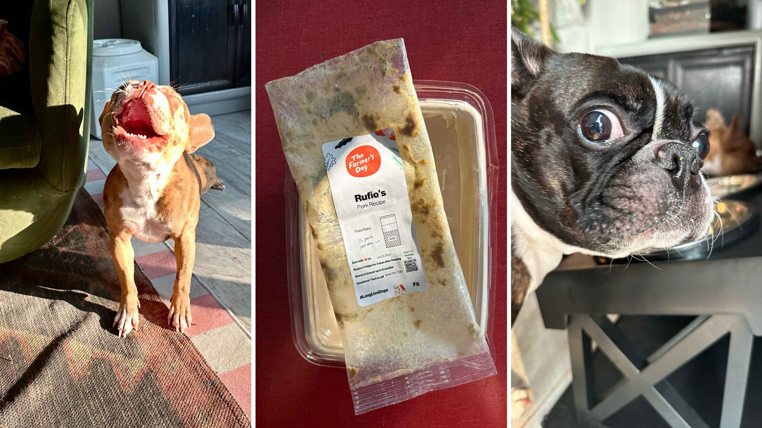 Memorial Day deals, dog food, The Farmer's Dog, fresh dog food, dog food delivery, pet deals, vet-developed meal plans, human-grade ingredients, customized dog food, dog food recipes, dog food discounts, dog health, dog nutrition, pet health, PetSmart, Bil-Jac, Chewy, dog supplies, online pet stores, early Memorial Day sales, Memorial Day weekend deals

