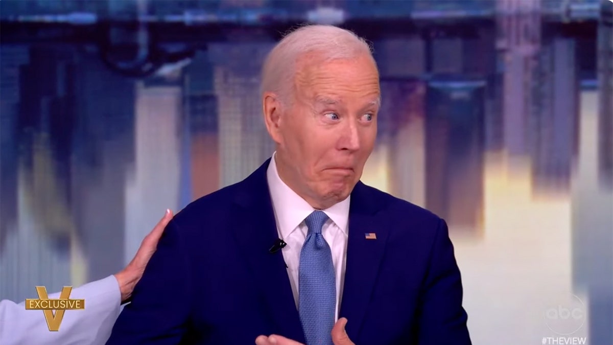 Joe Biden, The View, Democratic Party, mental acuity, 2024 election, Donald Trump, Jill Biden, Anthony Cole, Democratic strategists, Steve Schale, Jimmy Carter, 2028 election, Democratic leaders, political judgment, post-presidency, public appearances, media appearances, interviews
